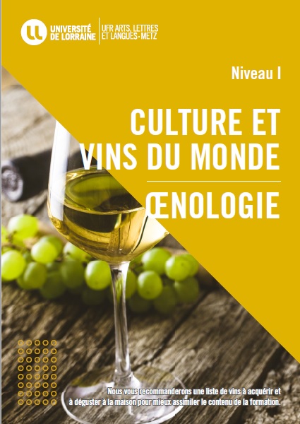Niveau 1